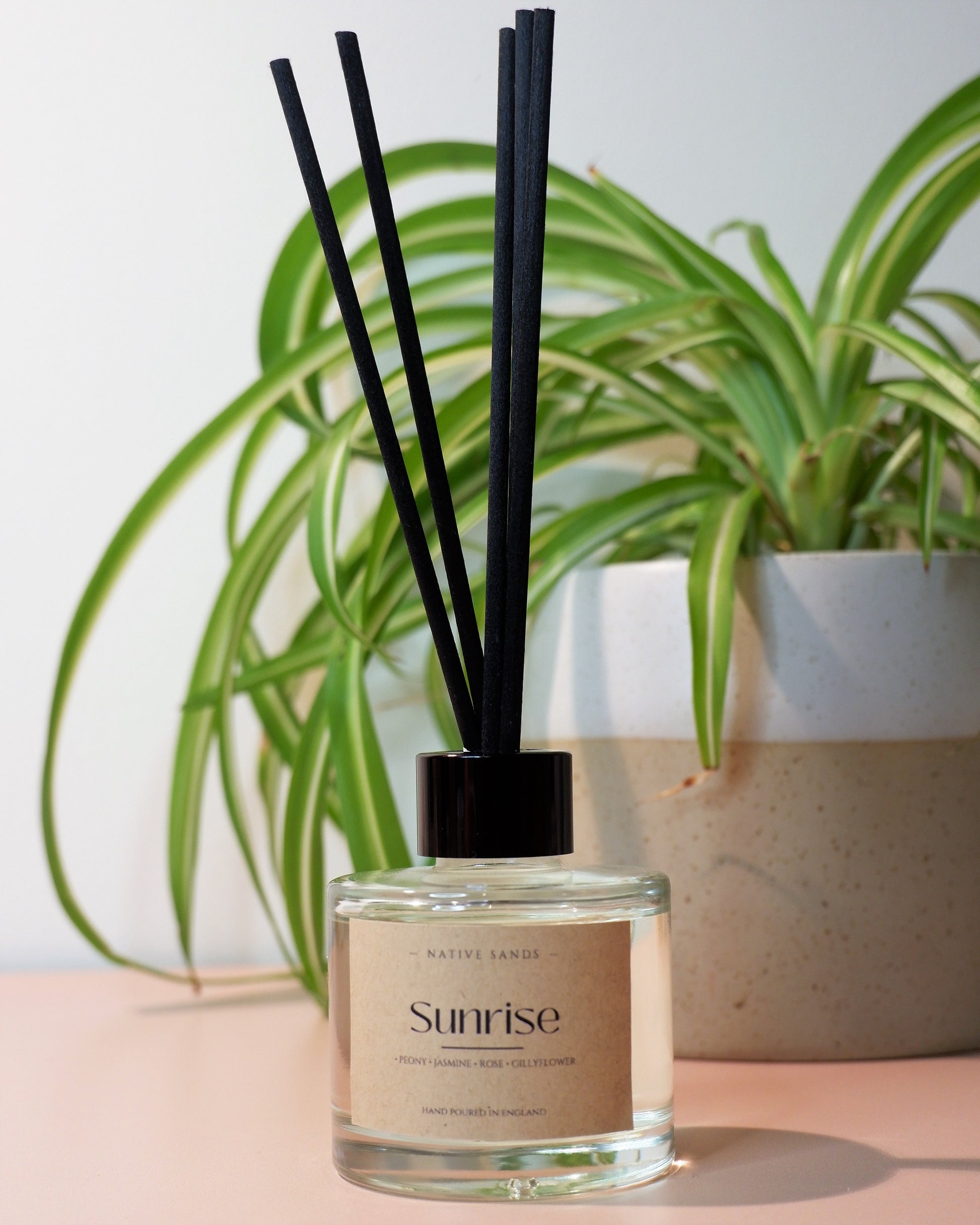 Pink Sands™ Pre-Fragranced Reed Diffusers - Pre-Fragranced Reed